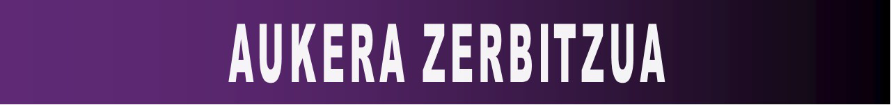 Aukera Zerbitzua